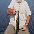 Nice Bass caught by James Bapp